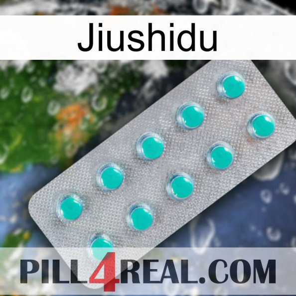 Jiushidu 28.jpg